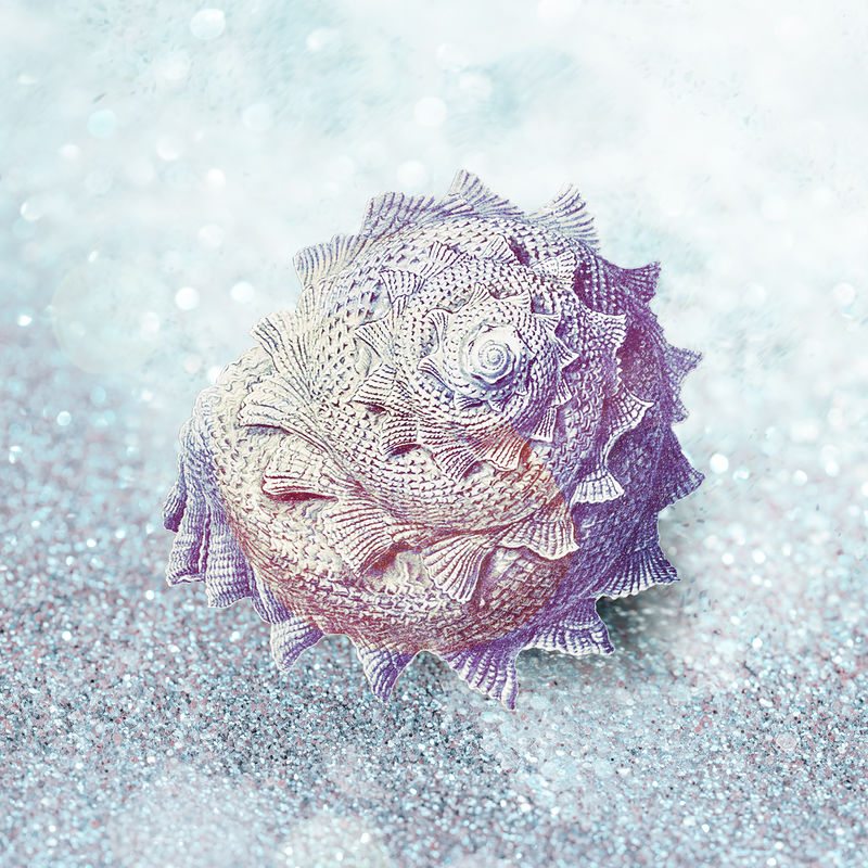 复古彩色贝壳设计资源