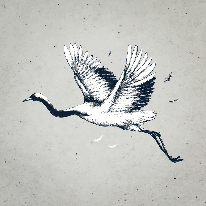 飞鹤复古墙画印刷海报设计混搭原创艺术作品