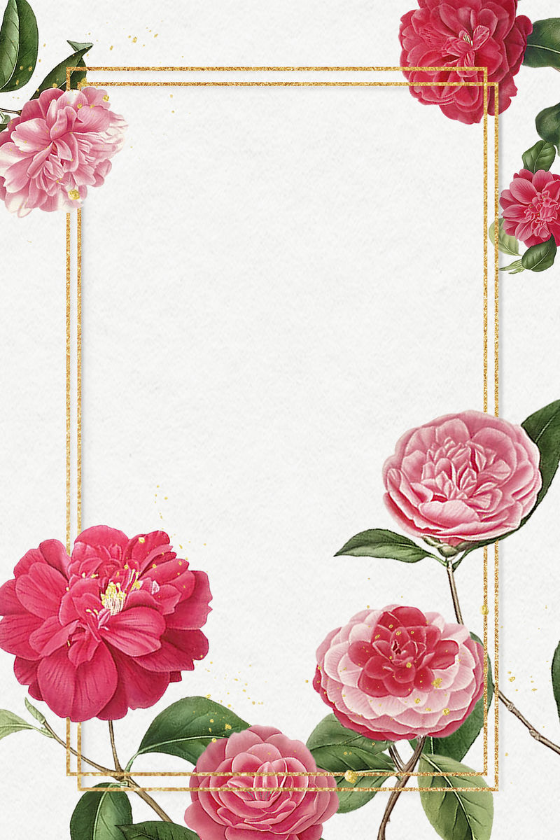 红色和粉色山茶花图案空白框架模型