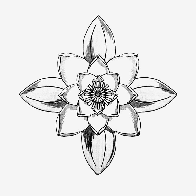 黑白线条画睡莲花设计元素