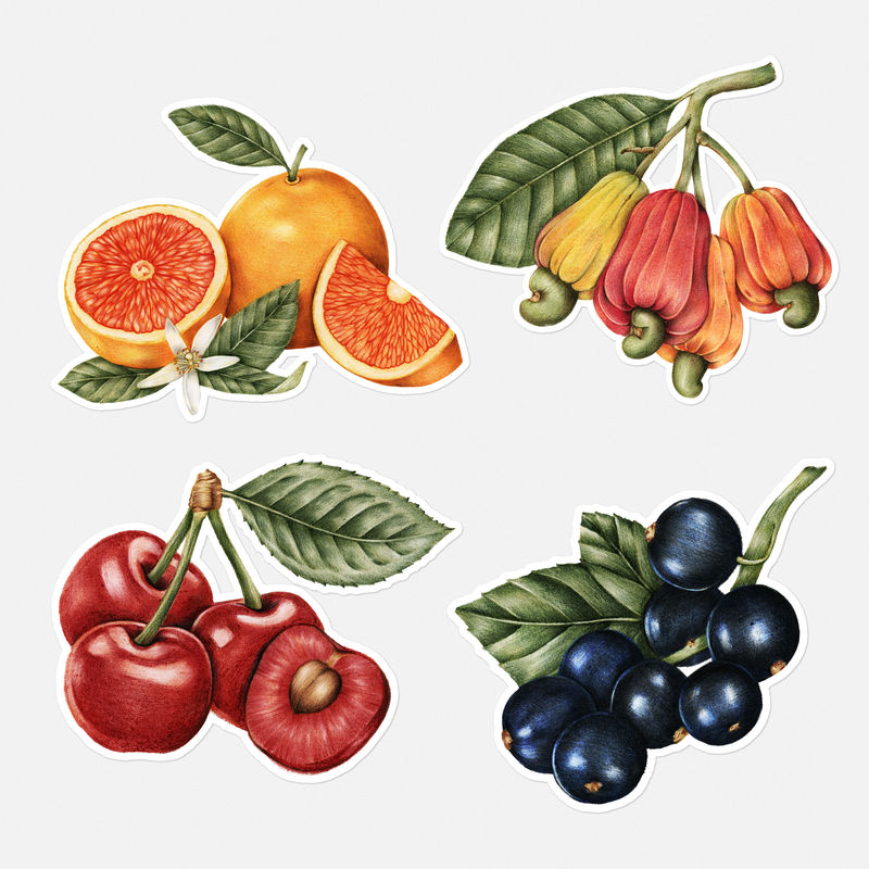 手绘水果贴纸与白色边框设计元素集