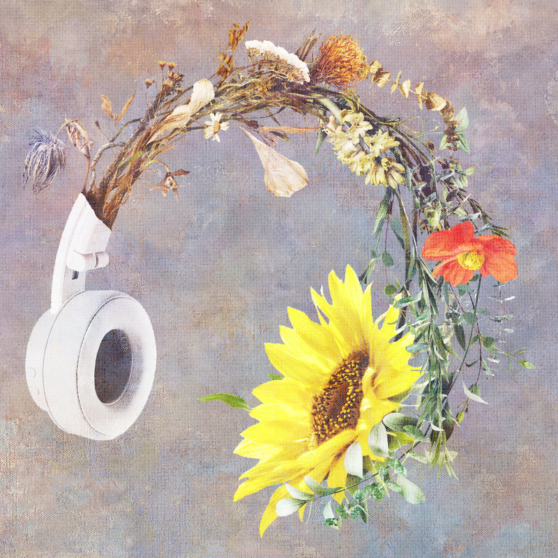 绽放花朵耳机设计资源