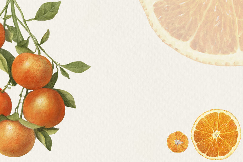 手绘天然鲜橙图案fr