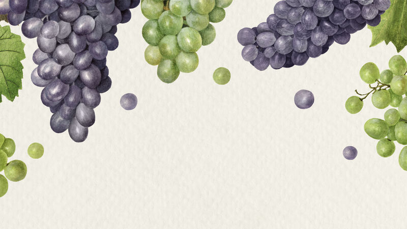 手绘天然鲜葡萄图案框