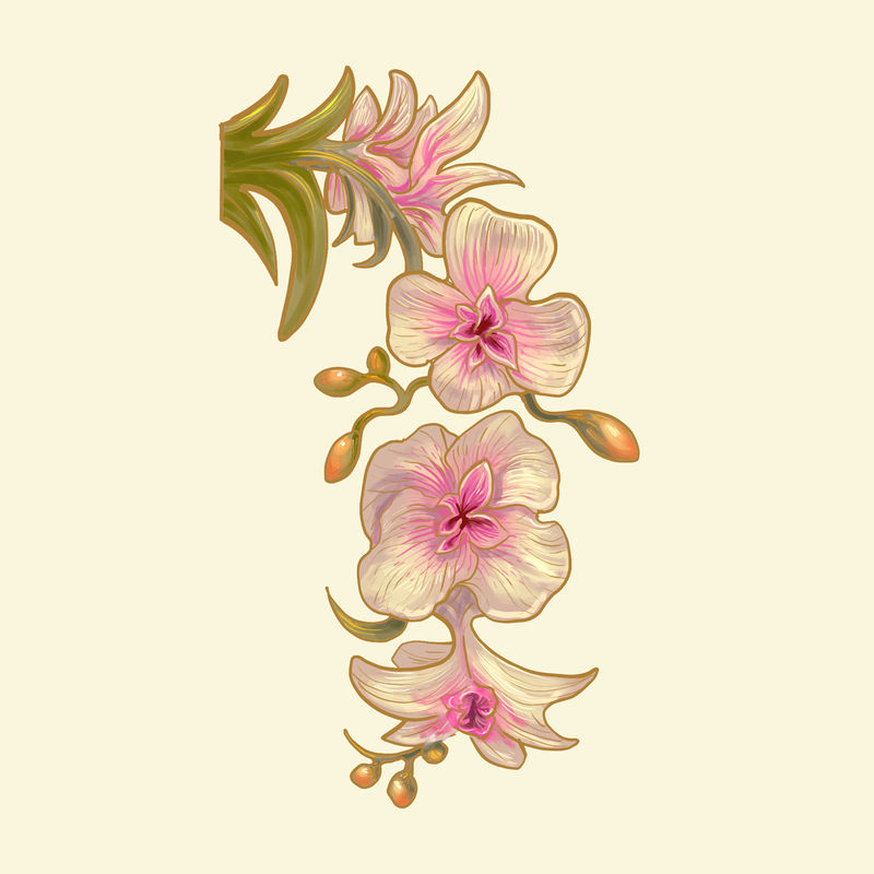 黄色背景上孤立的手绘花