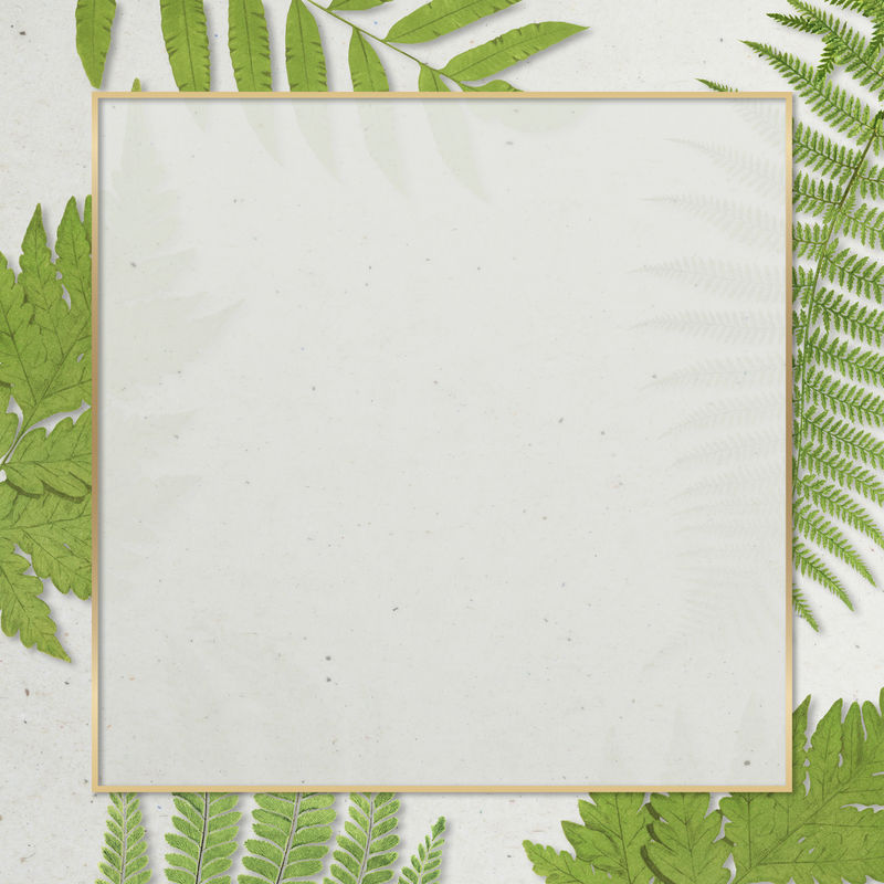 蕨叶背景框