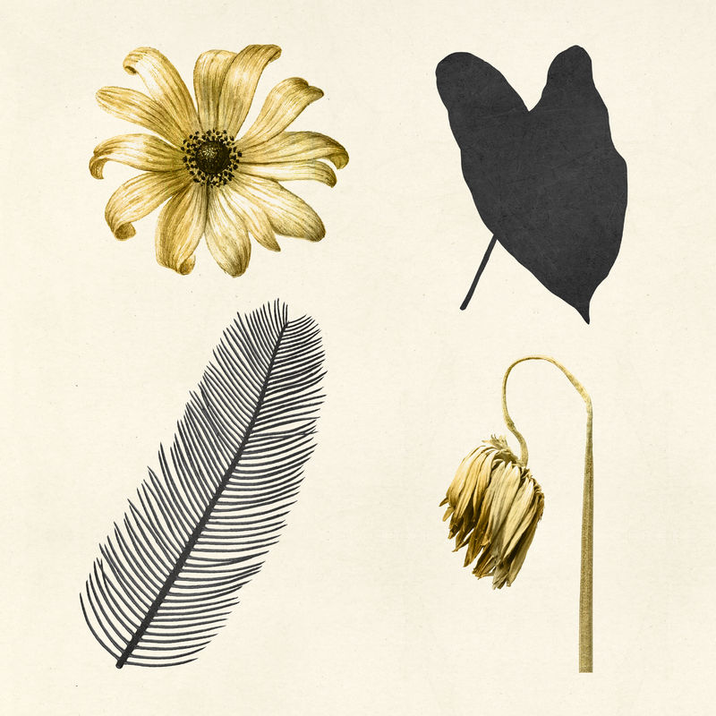 Psd金黑色叶花金属复古贴纸套装