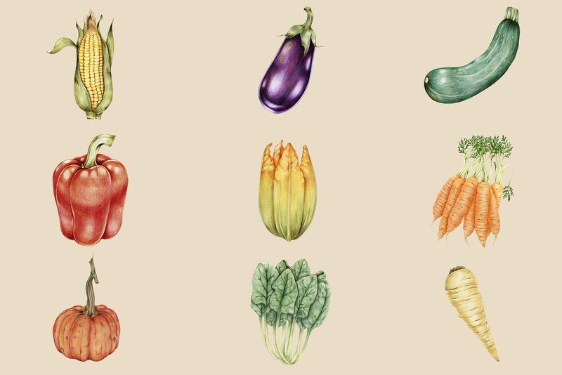 有机蔬菜复古psd手绘系列