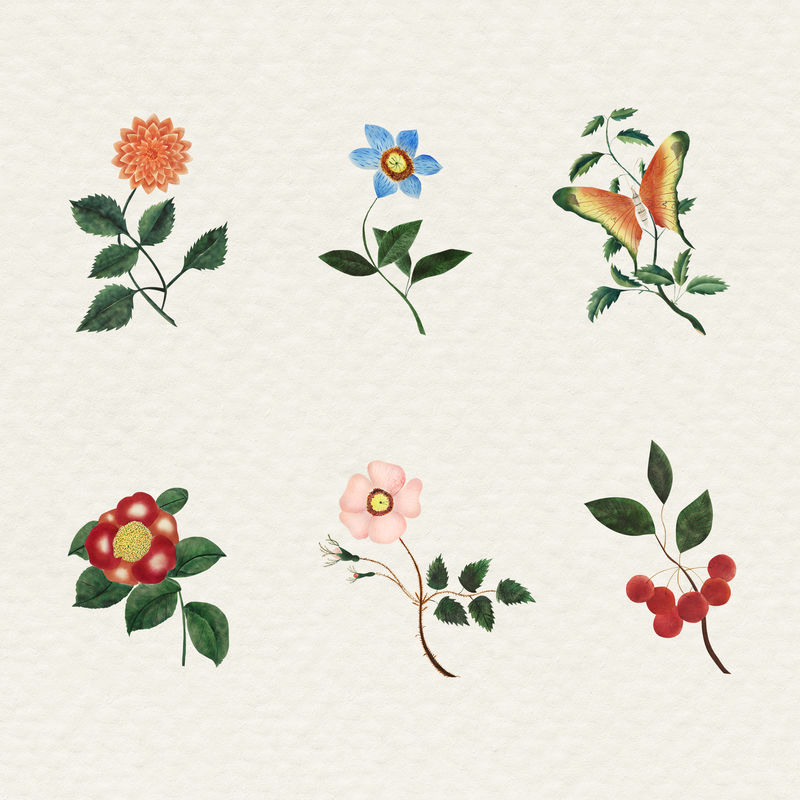 复古花饰插画