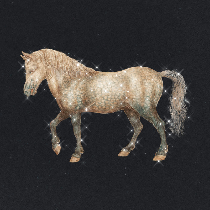 手绘闪耀马匹设计元素