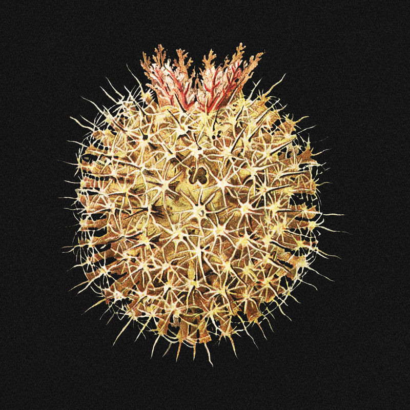 彩色复古被膜装饰