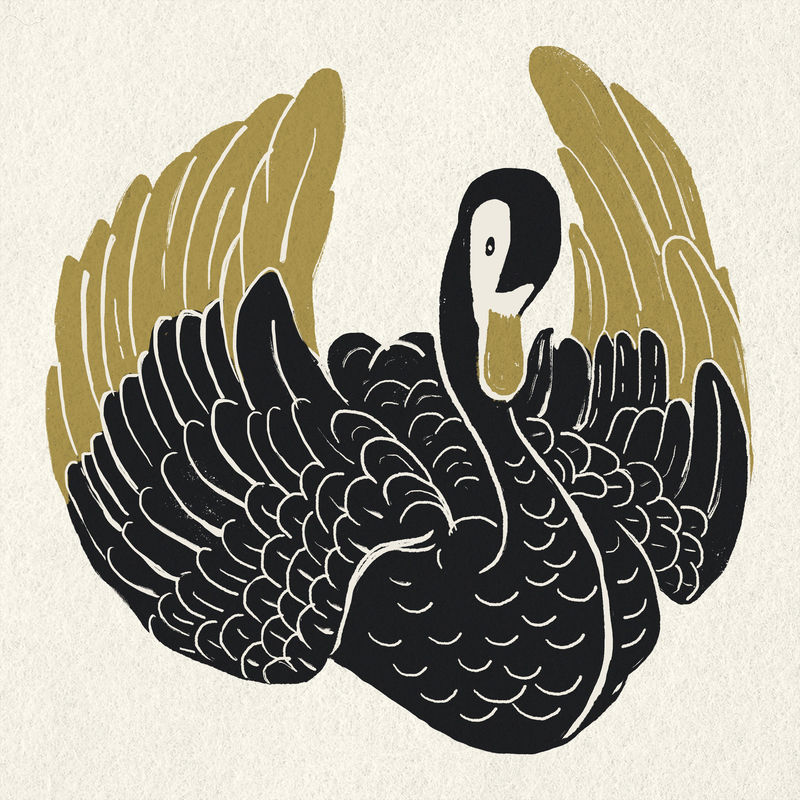 复古天鹅模具图案psd鸟剪贴画