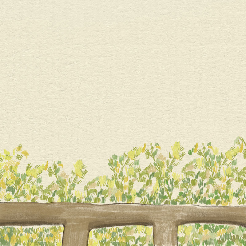 绿色背景彩色铅笔插图