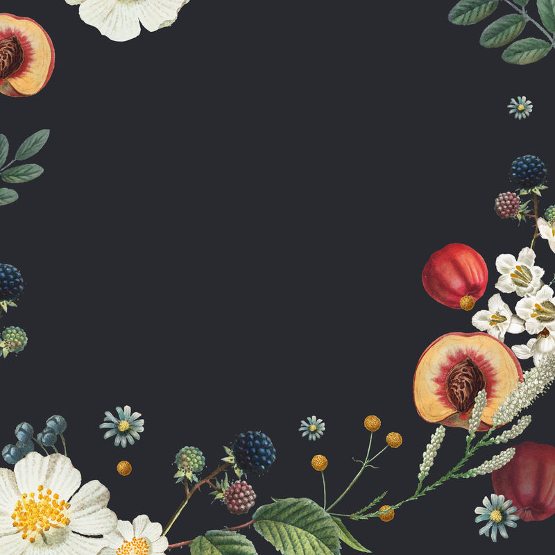 复古花框psd背景手绘插图