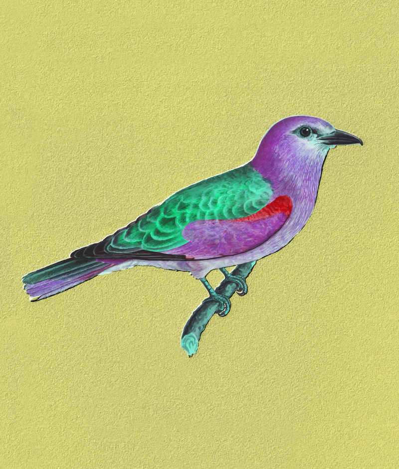 欧洲滚轴鸟复古矢量从原来的艺术品混合