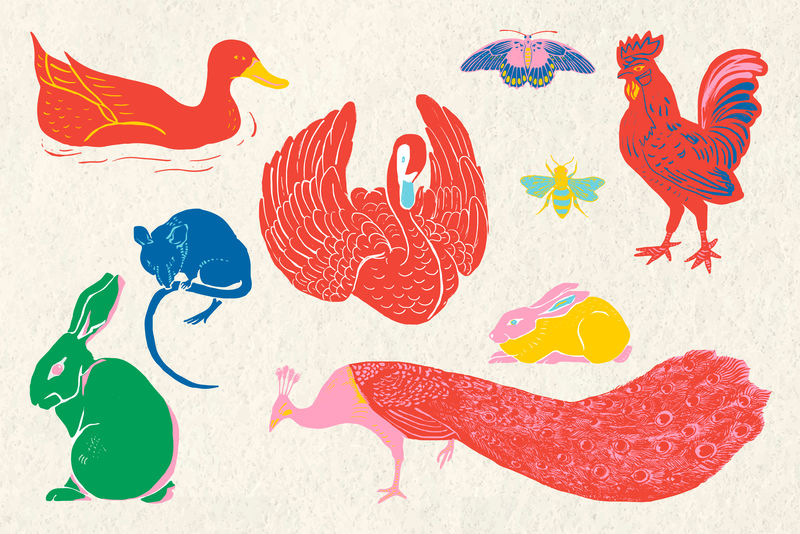 经典野生动物矢量插图集