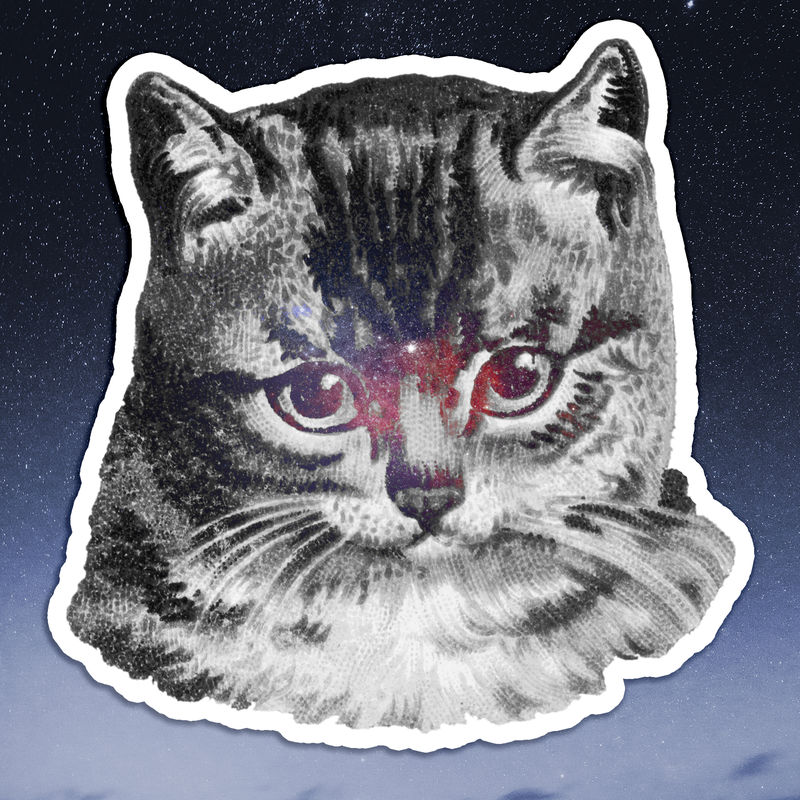 凝视猫贴纸插图