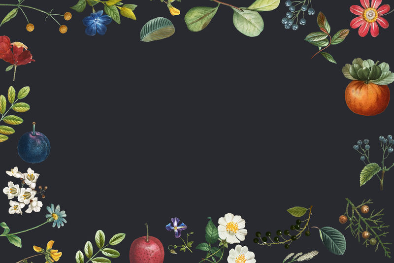 夏季花卉图案空白框