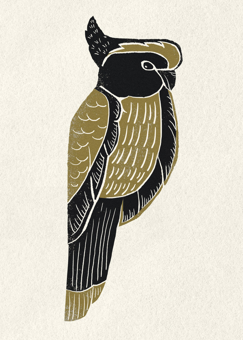 凤头鹦鹉复古模板图案