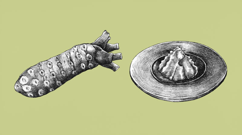 手绘芥末日本辣根