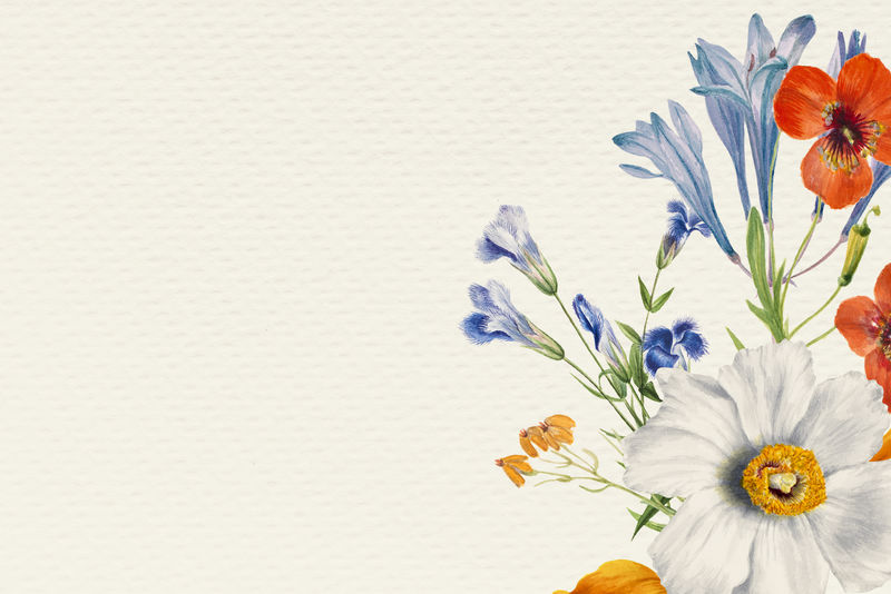 彩色花卉背景psd插画从公共领域的艺术作品混合