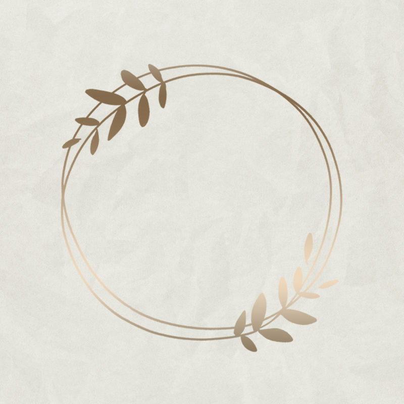 金色叶子框架米色背景插图模型