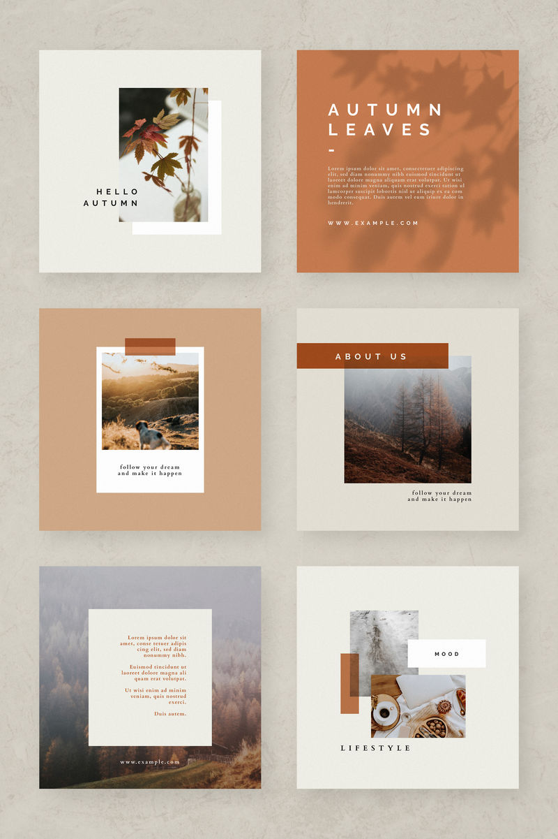 秋色调社交媒体博客模板向量