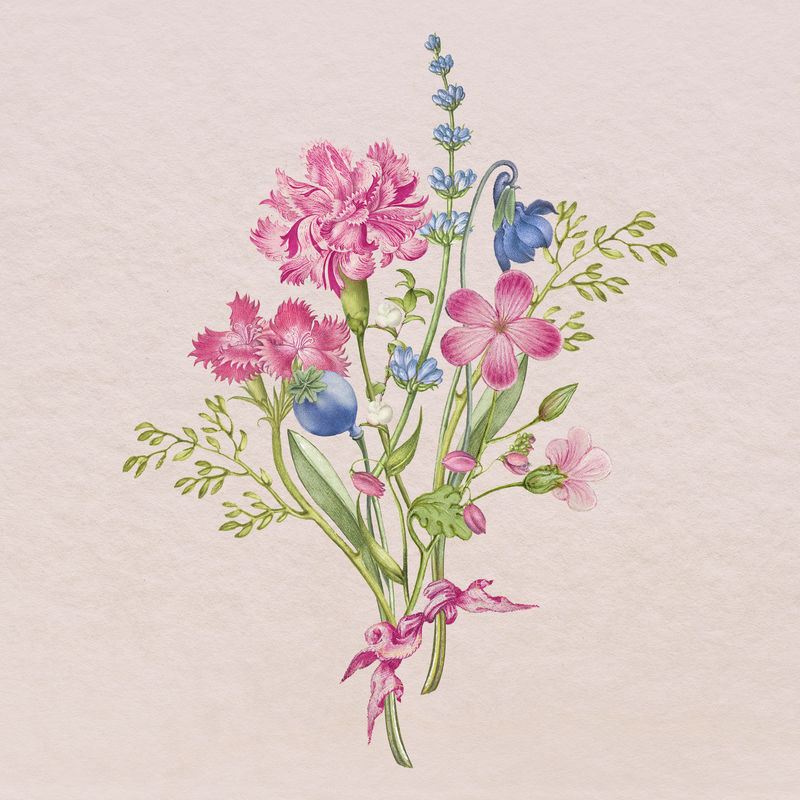 粉红色康乃馨花束