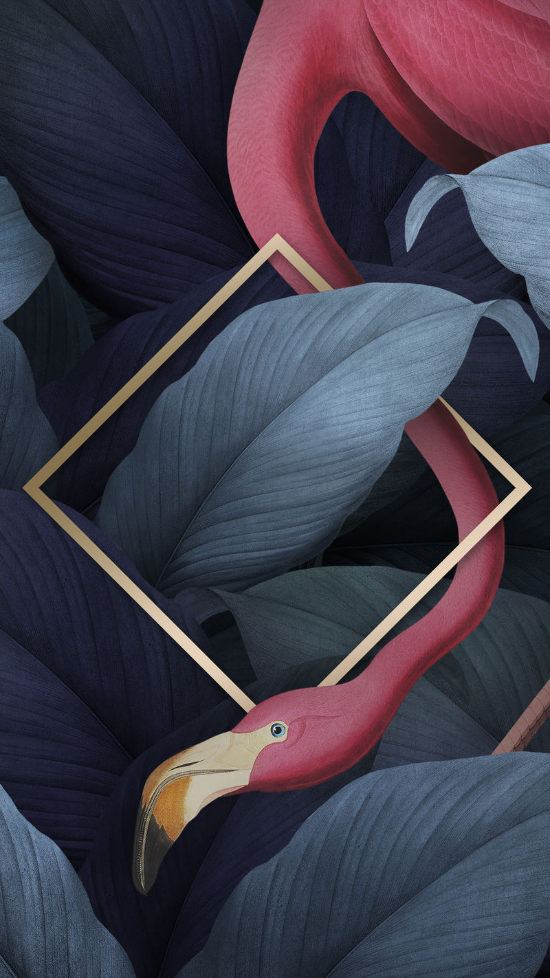 菱形金色框架上的热带火烈鸟插图