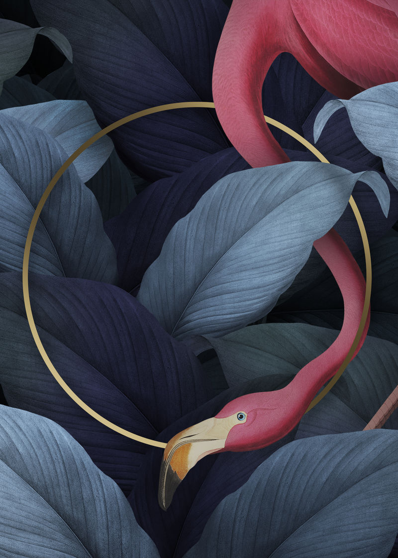 圆形金色框架上的热带火烈鸟