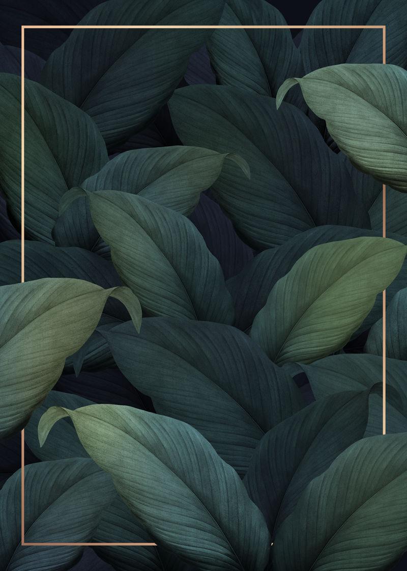 绿色热带树叶图案海报