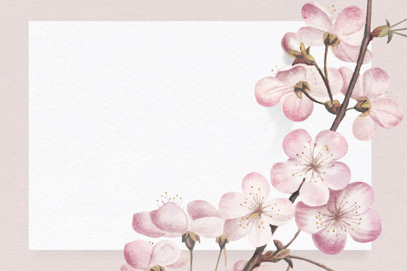 矩形樱花框架向量