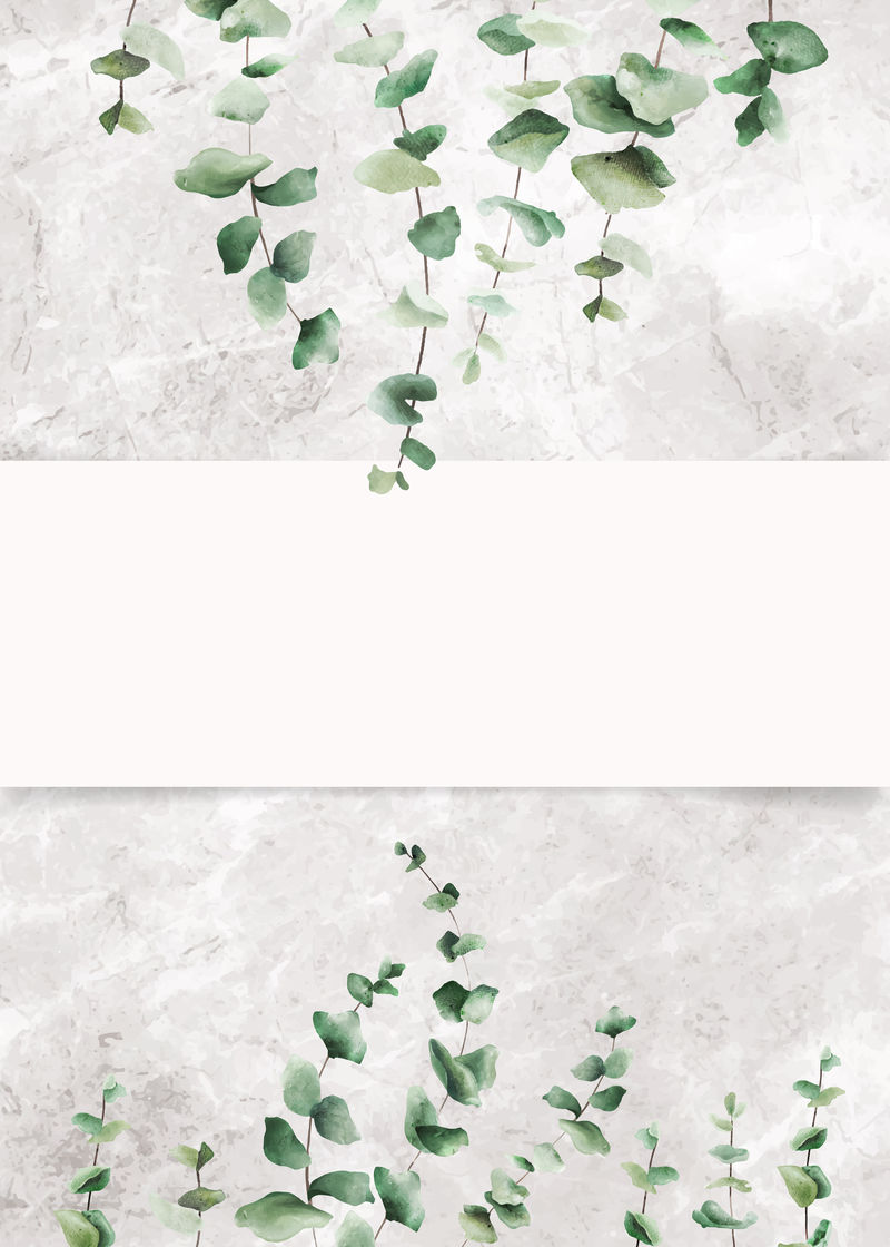 手绘桉树叶旗帜矢量