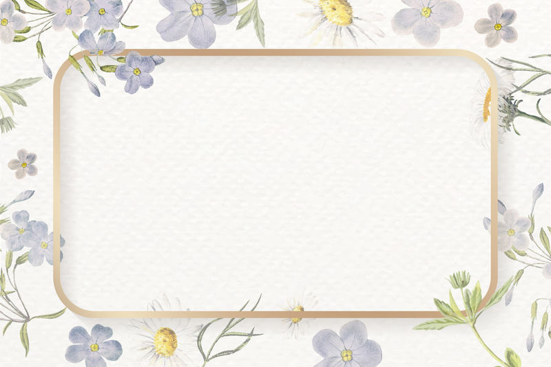 空白矩形框向量