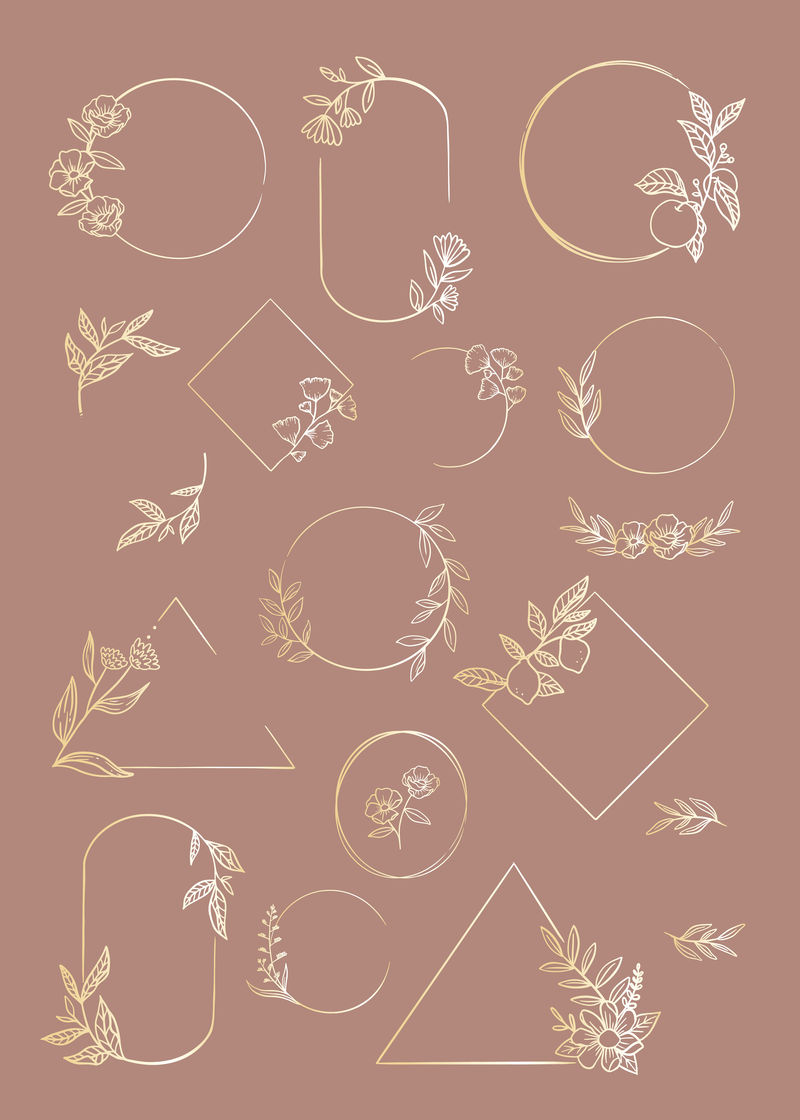 植物框架元素向量集