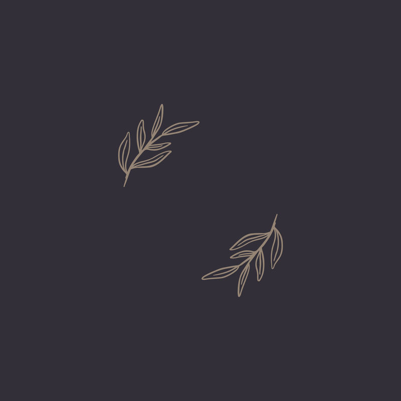 叶框边界元向量