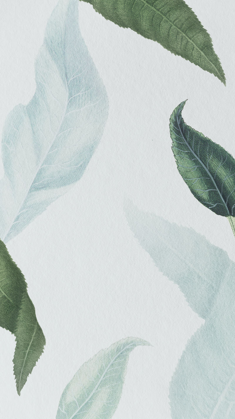 桃枝灰手机壁纸插画