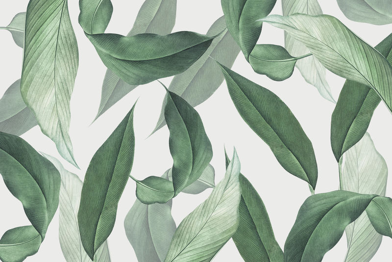 龙虾爪叶图案背景插图