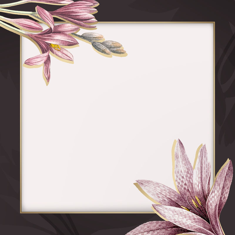 粉红色的石蒜花图案和金色的框架向量