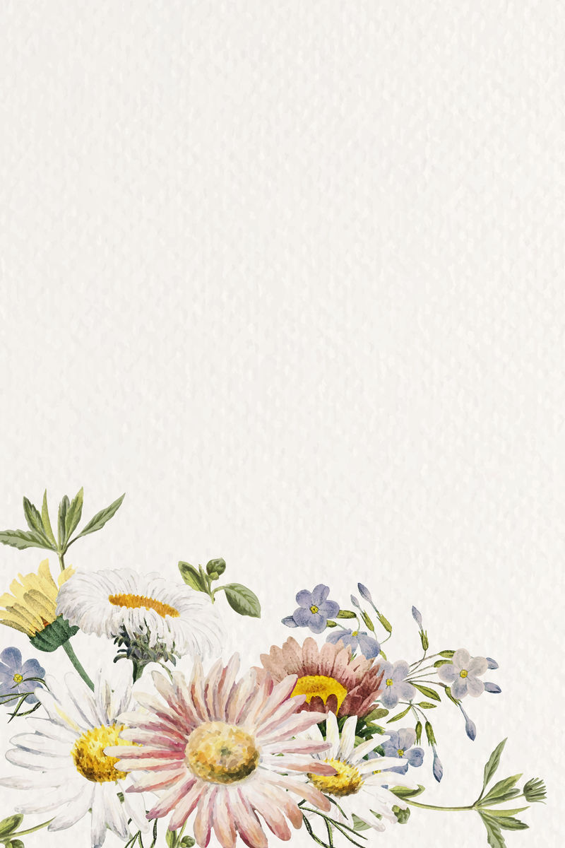 空白花框设计向量