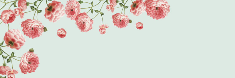 复古植物横幅设计载体