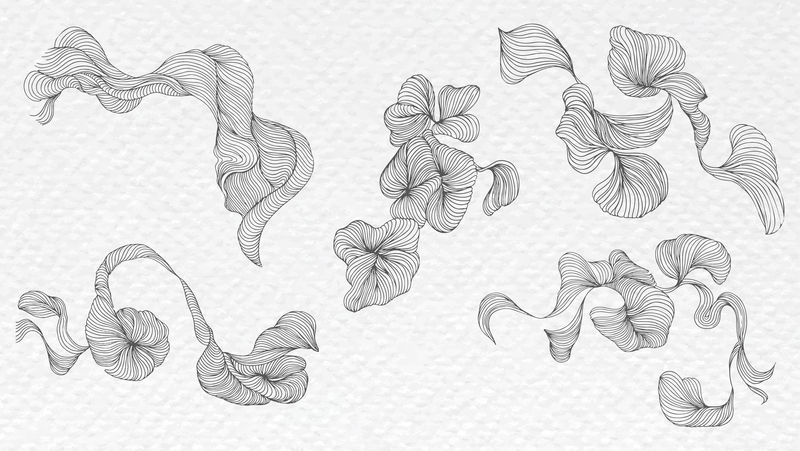 黑色漩涡抽象艺术墙纸