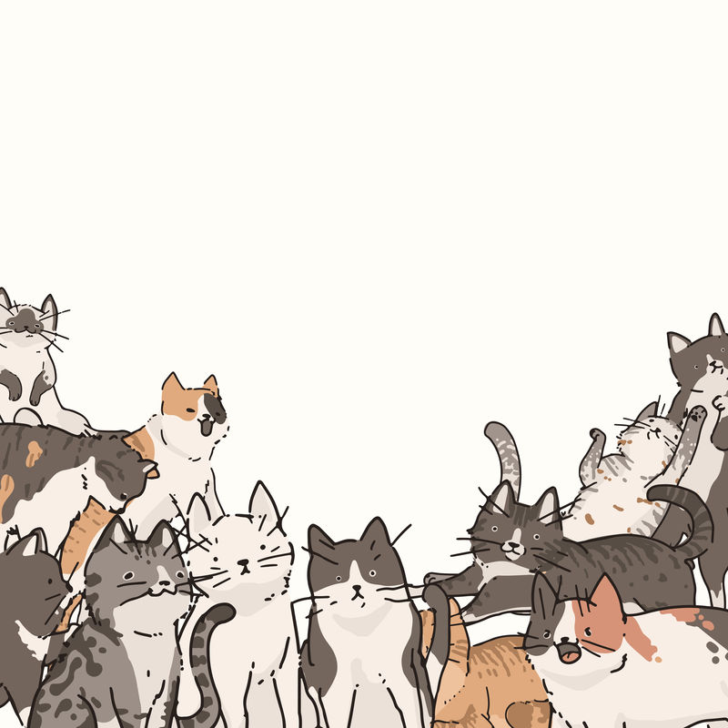 猫涂鸦图案背景向量