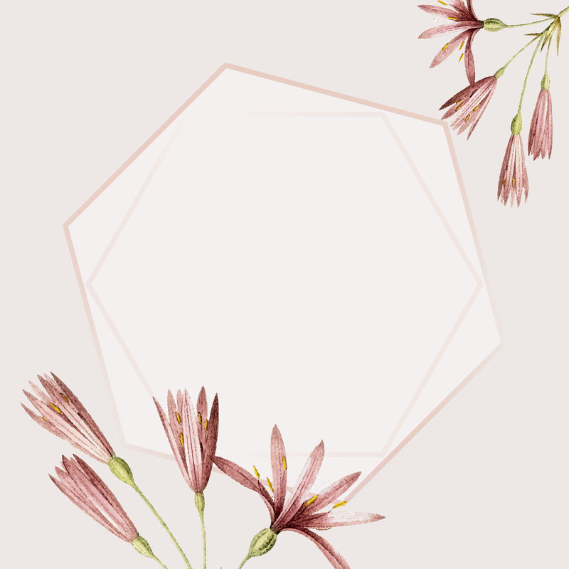 粉红色框带石蒜花-蒙大拿矢量