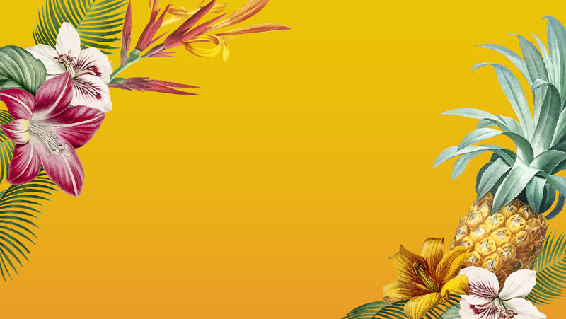 热带黄旗设计空间向量