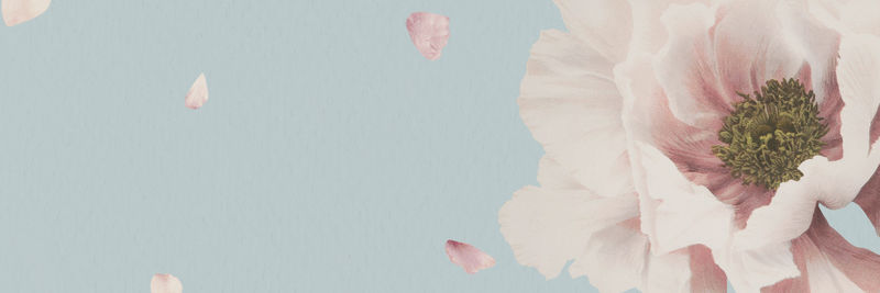 空白绽放花卉横幅插画