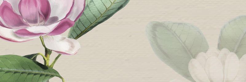 粉色绽放花朵旗帜矢量