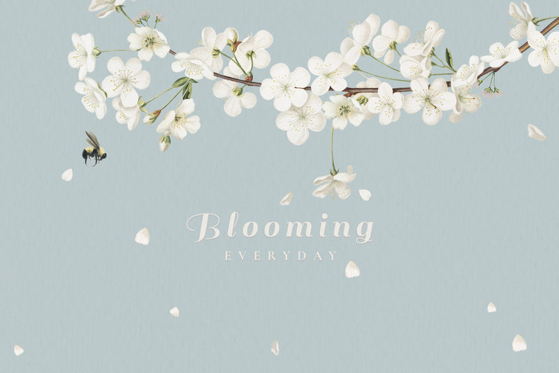 绽放日常卡片设计插画