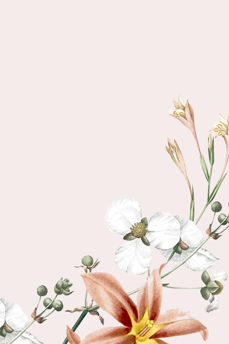 花粉色背景向量模板