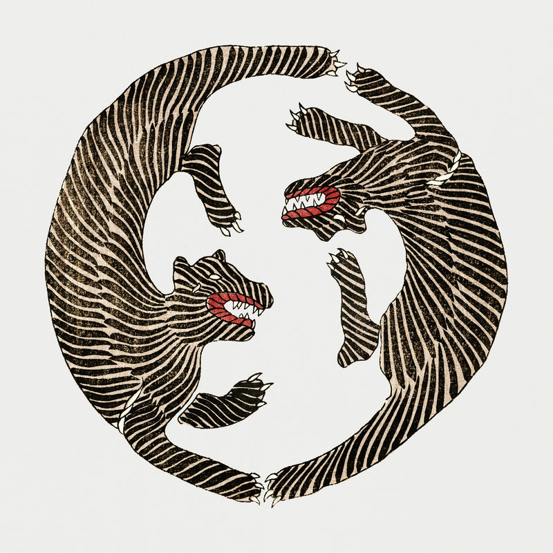 日本虎的经典插图